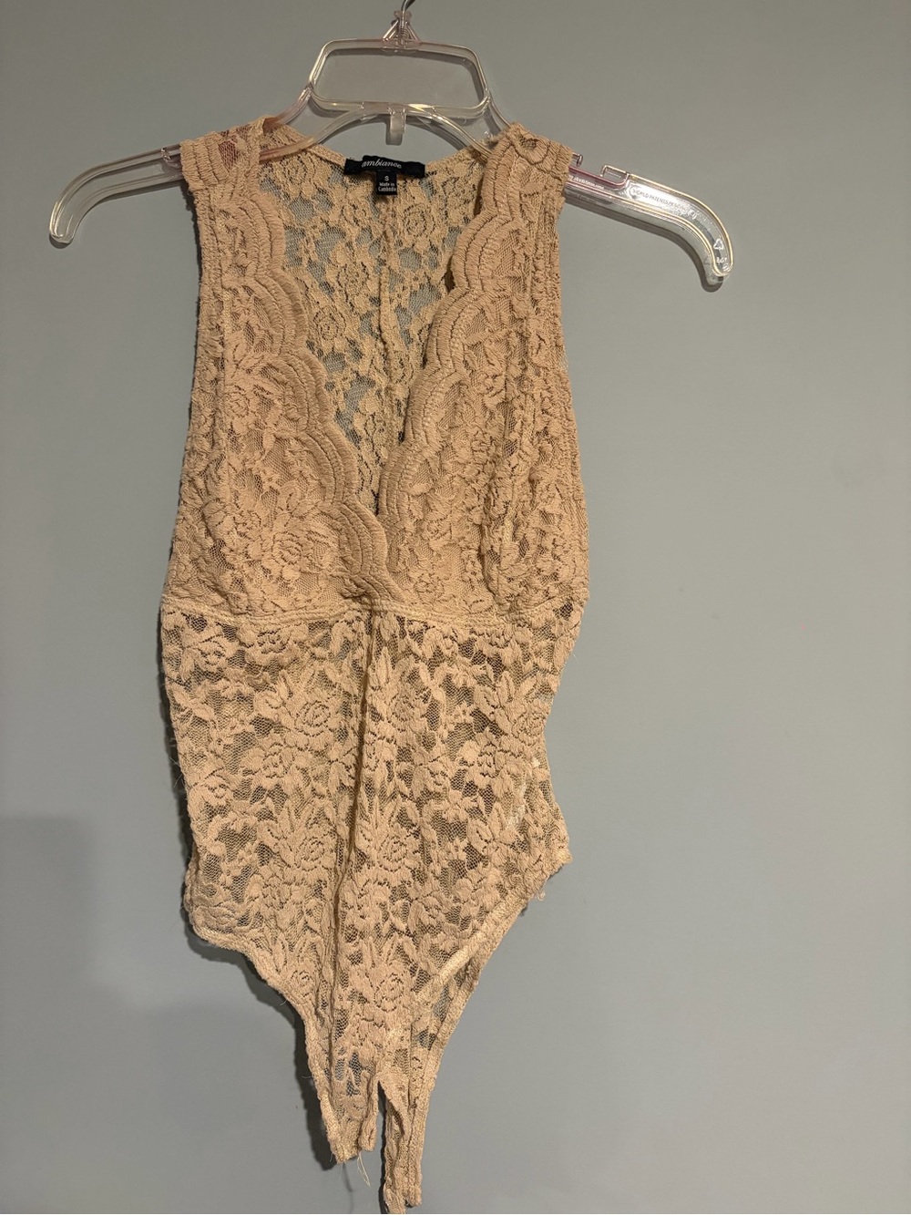 Ambiance Beige Lace Top